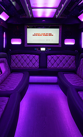 Limousine and party bus interiors